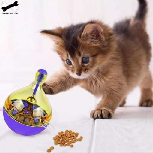 Jouet distributeur de croquettes pour chats