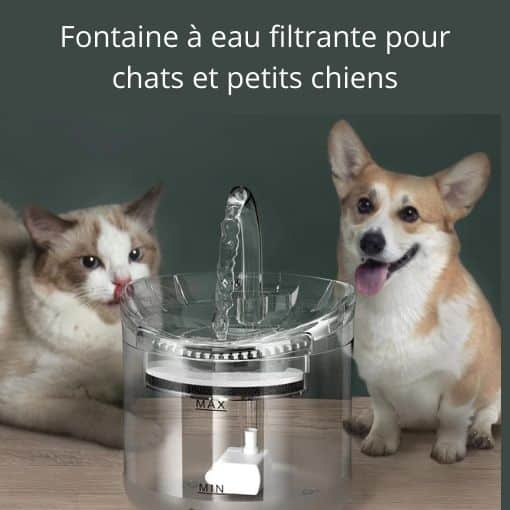 Fontaine à eau filtrante pour chats et petits chiens