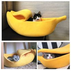 Niche en forme de banane épluchée