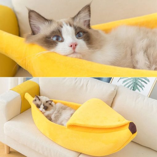 Niche forme banane