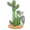 Cactus Vert et Paille
