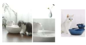 Pourquoi les chats domestiques ont-ils besoin d’une fontaine à eau