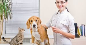 L'assurance santé pour chiens et chats